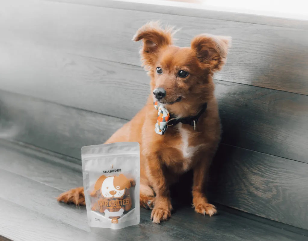 Is CBD's Effect on People the Same as its CBD Effect on Animals? | Seabedee